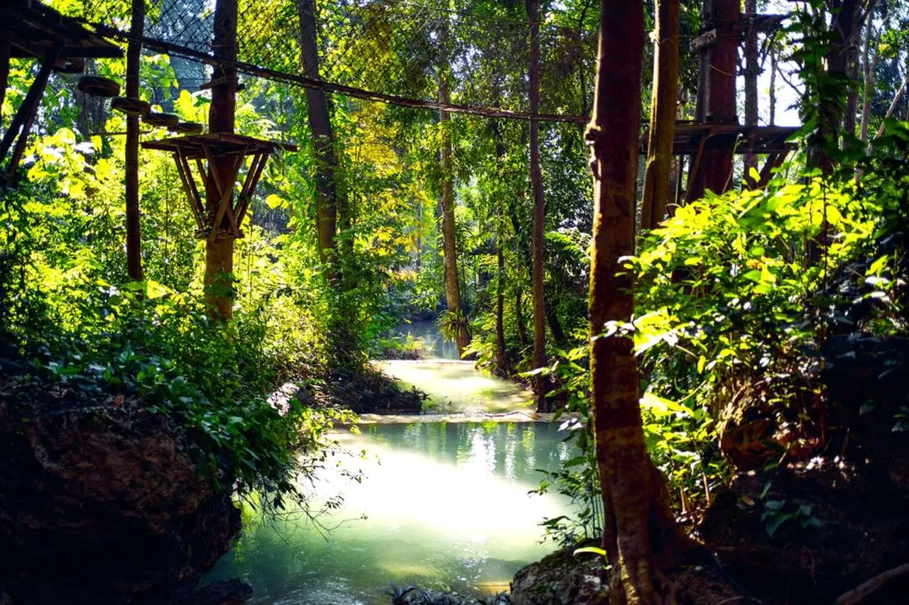 Dev eşek arıları baba ve oğlunu öldürdü! Eğlence parkında korkunç olay