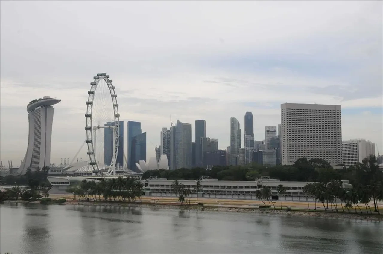 Dolandırıcılara 'kırbaç' cezası! Hapis cezası kesmedi Singapur yeni yasayı onayladı