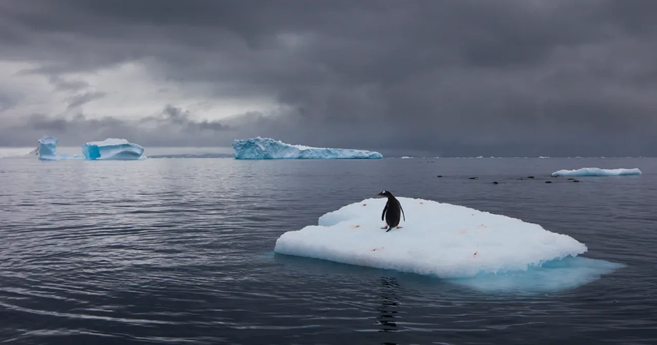 Dünyada 100 yıl sonra yok olacak şehirleri açıkladılar! Türkiye'den iki şehir risk altında