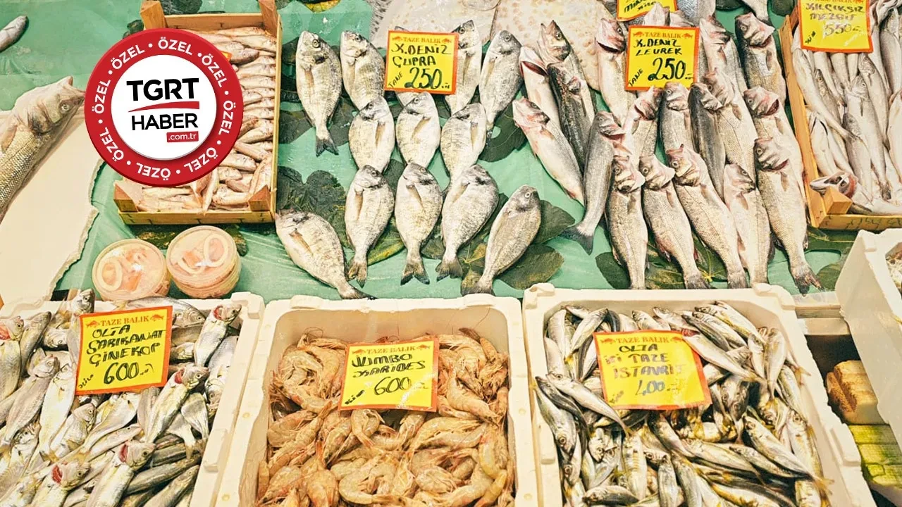 Kasım ayında hangi balık lezzetli olur? Uzman isimden ezber bozan açıklama: 'Hangisi ucuzsa...'