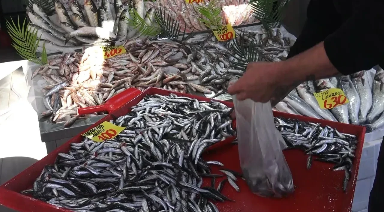 Kasım ayında hangi balık lezzetli olur? Uzman isimden ezber bozan açıklama: 'Hangisi ucuzsa...'