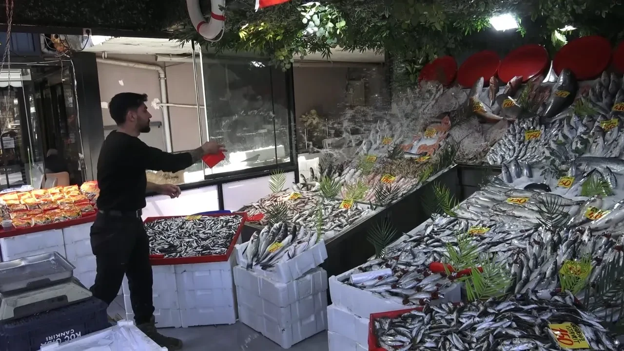 Kasım ayında hangi balık lezzetli olur? Uzman isimden ezber bozan açıklama: 'Hangisi ucuzsa...'