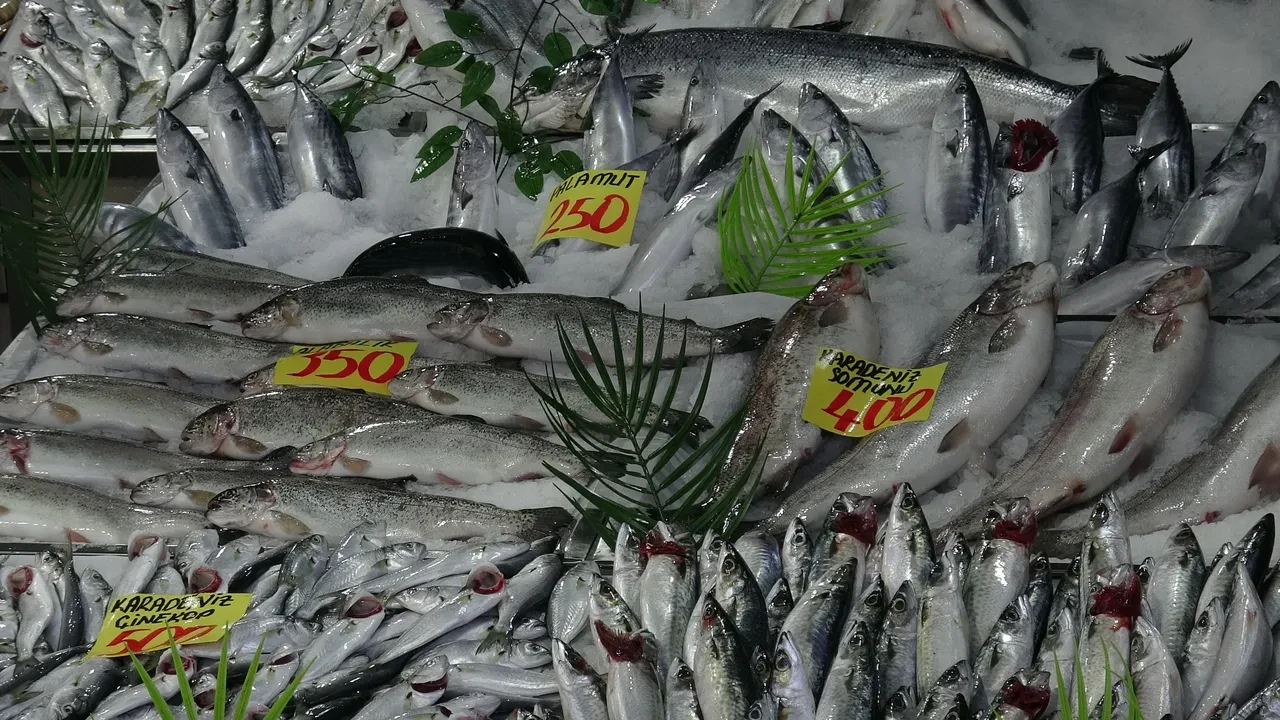 Kasım ayında hangi balık lezzetli olur? Uzman isimden ezber bozan açıklama: 'Hangisi ucuzsa...'