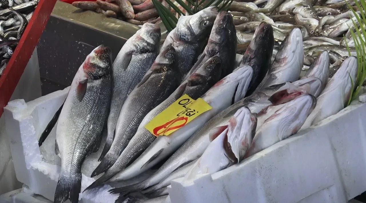 Kasım ayında hangi balık lezzetli olur? Uzman isimden ezber bozan açıklama: 'Hangisi ucuzsa...'