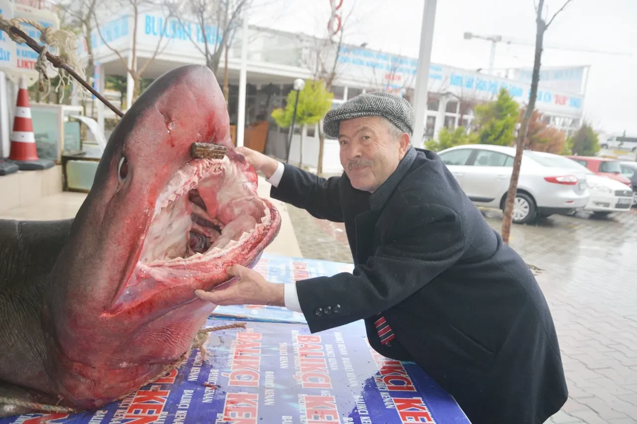 Kasım ayında hangi balık lezzetli olur? Uzman isimden ezber bozan açıklama: 'Hangisi ucuzsa...'