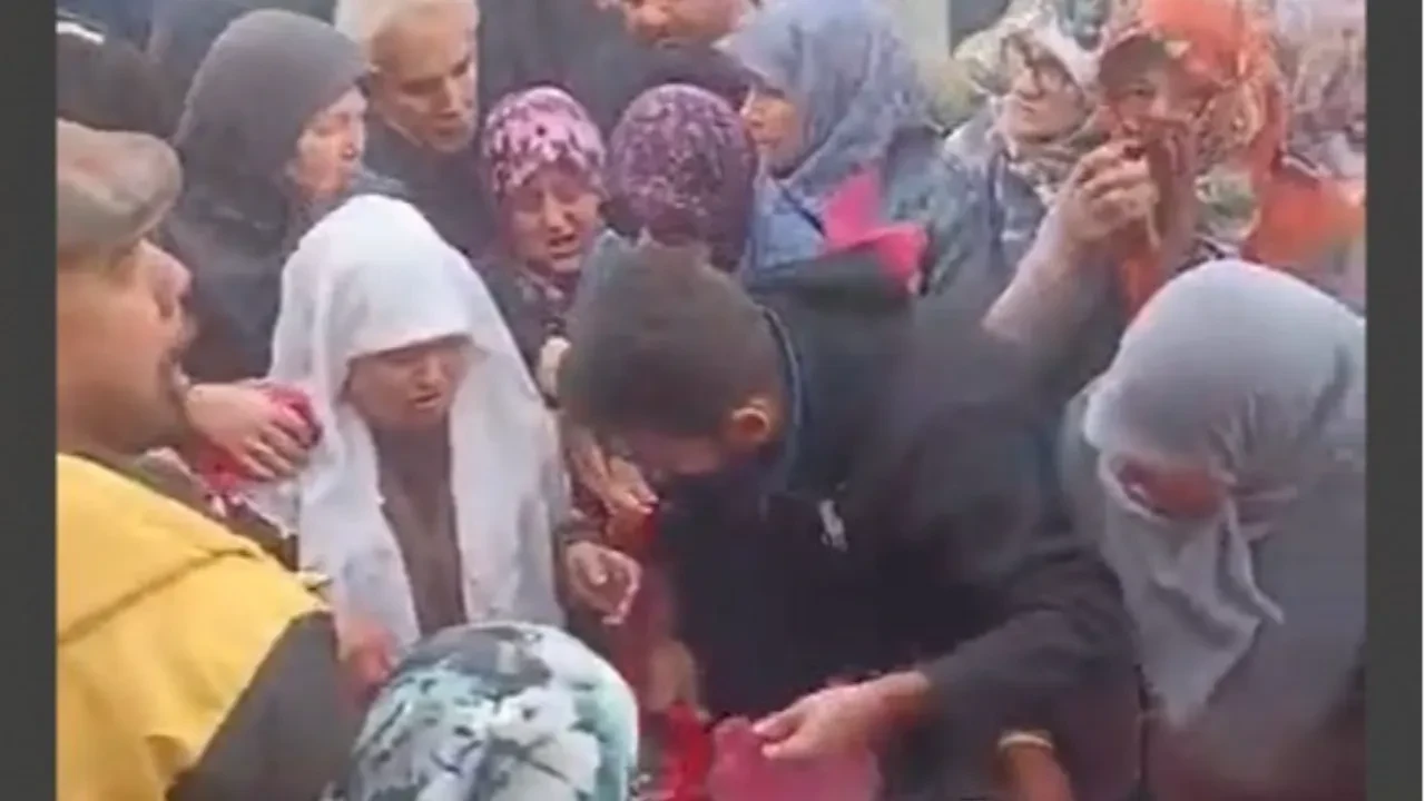 Ücretsiz dağıtılan hamsi izdiham oluşturdu! Balıklar kapış kapış gitti