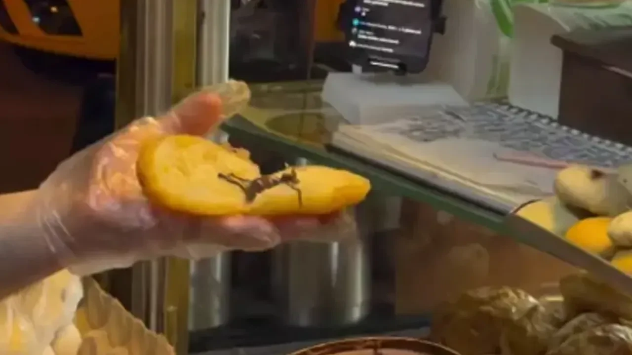 Ataberk Doğan, Fırat Sobutay, Bilal Hancı'nın boyoza ödedikleri para şoke etti! Duyunca hepsi kalakaldı