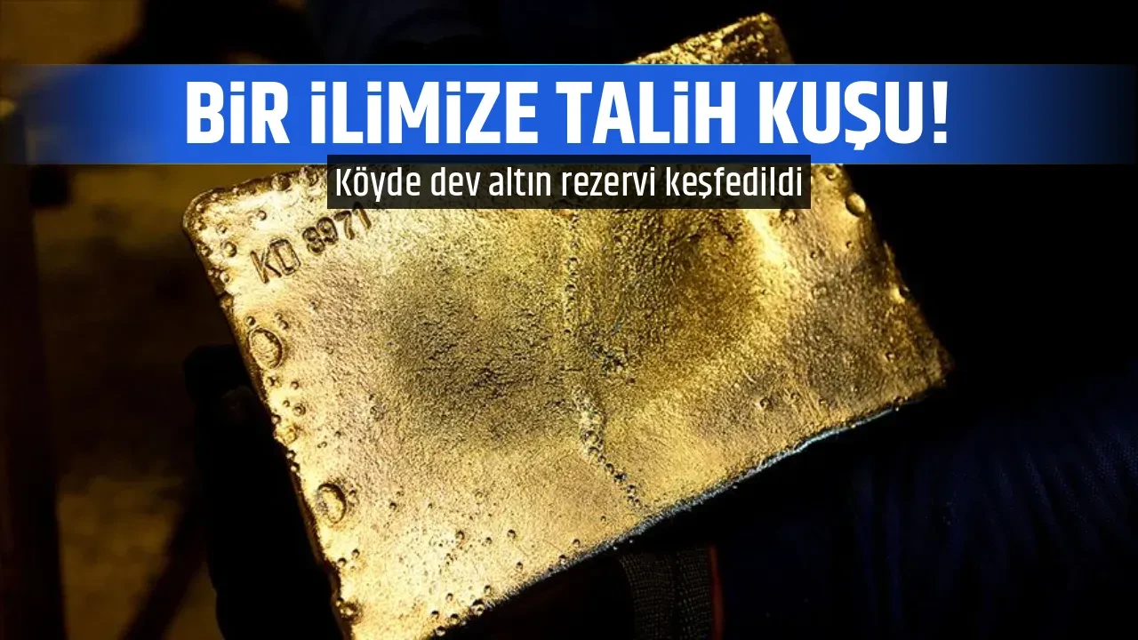 BİR İLİMİZE TALİH KUŞU!