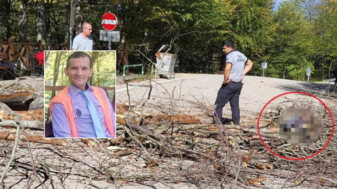 Bursa'da acı olay! Belediye işçisi ağaç altında kaldı 