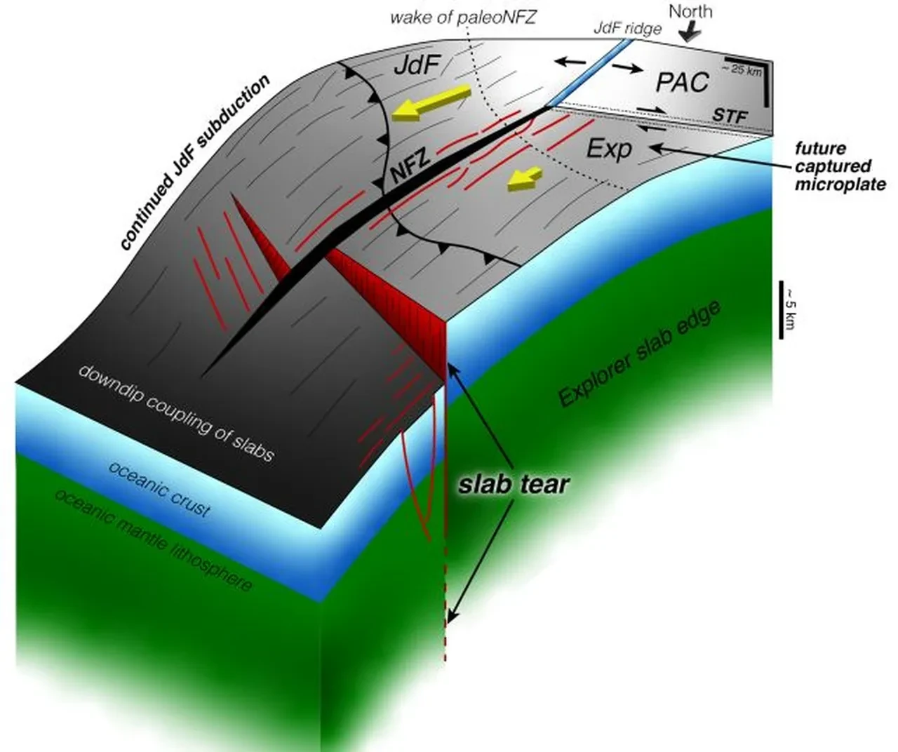 Dünya 'büyük bir tehlikenin' eşiğinde! Bilim insanları takibe aldı