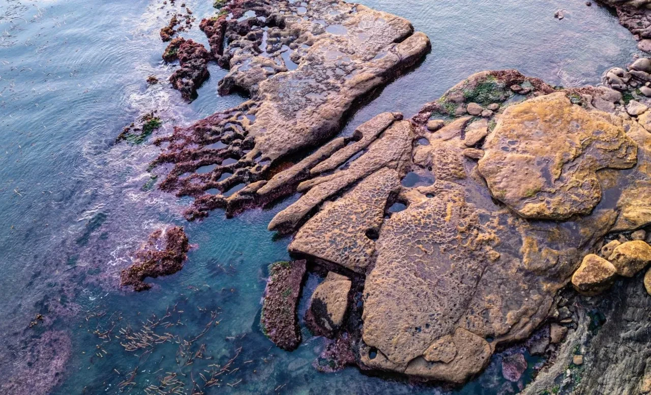 Dünya 'büyük bir tehlikenin' eşiğinde! Bilim insanları takibe aldı