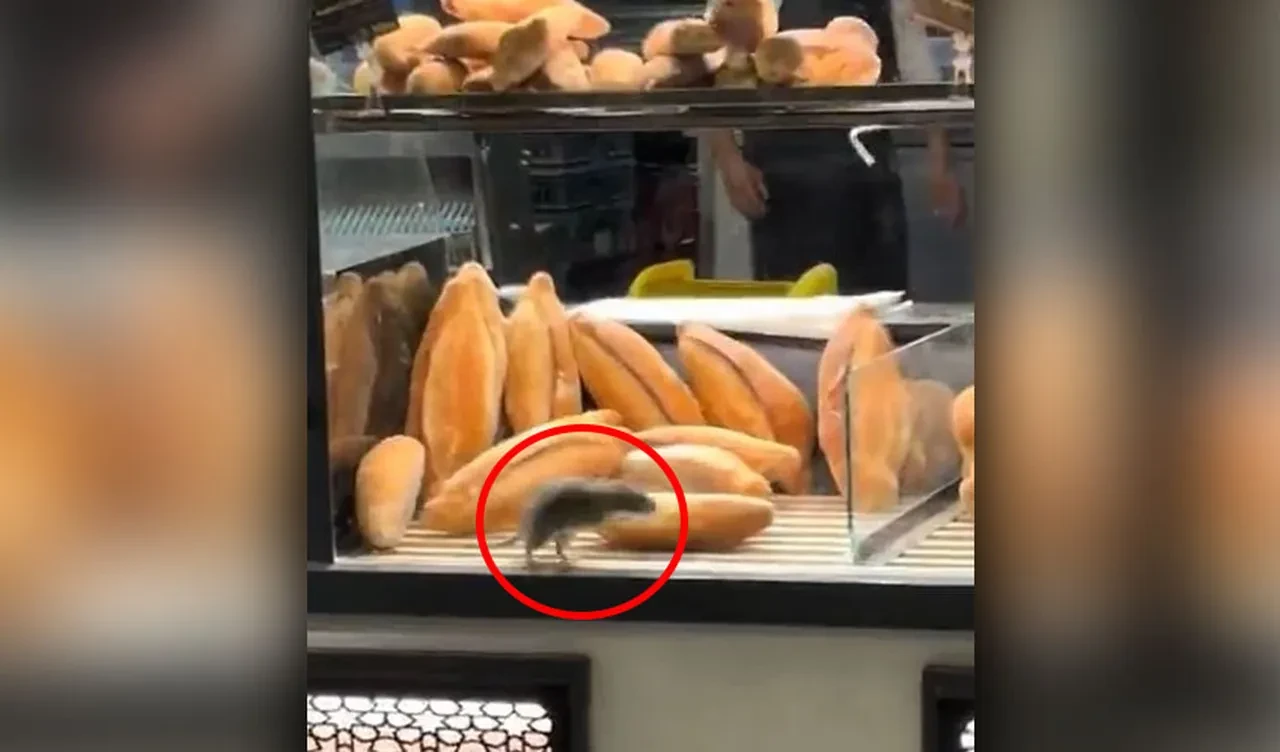 Fırında ekmeklerin arasında gezen fare videosu için para teklif ettiler