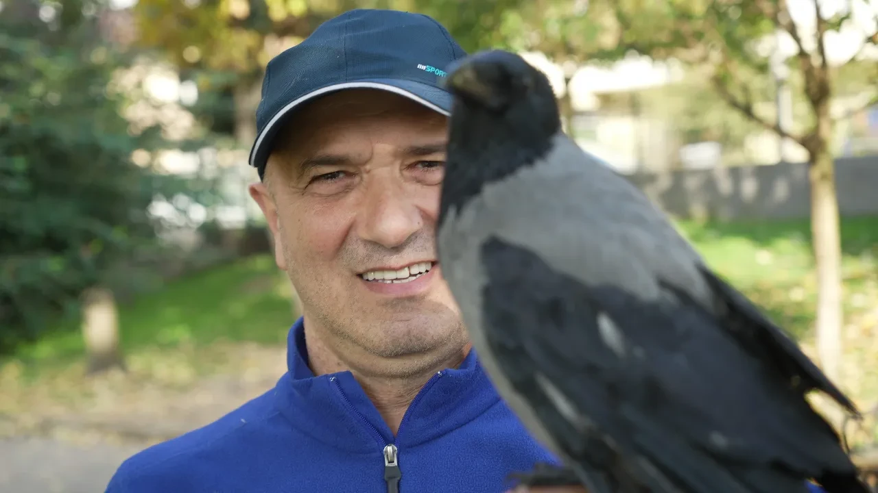 Herkes kinci olarak biliyor ama o en iyi dost oldu! Otobüs şoförü ile karganın sıra dışı dostluğu: Her yere birlikte gidiyorlar