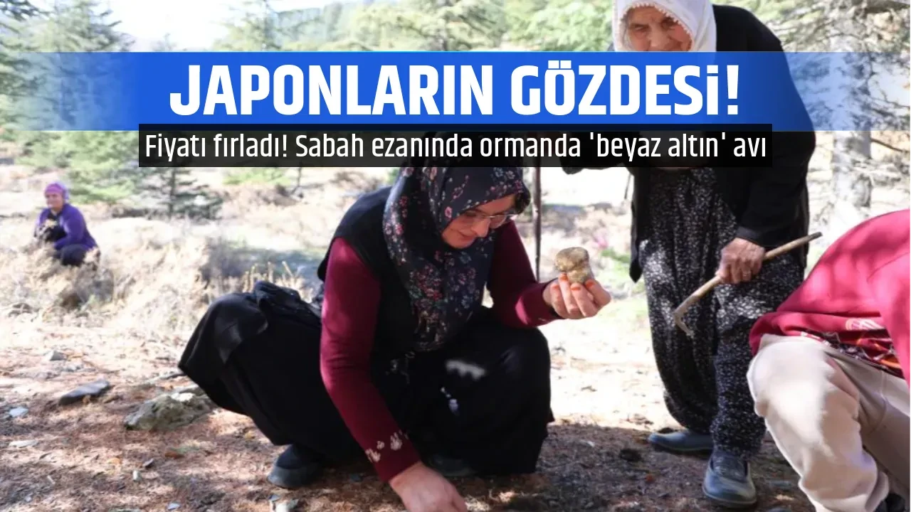 JAPONLARIN GÖZDESİ!