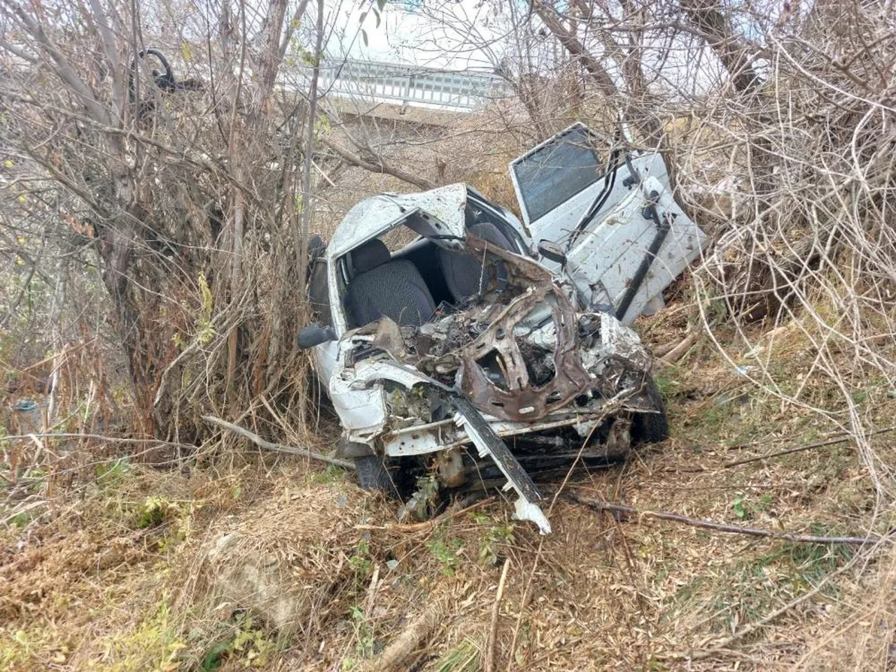 Köprüden uçan otomobil dereye düştü: Anne öldü, oğlu yaralı