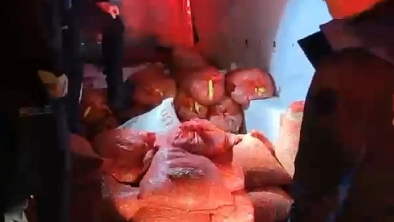 Samsun'da kaçak midye operasyonu! 2,6 ton ele geçirildi