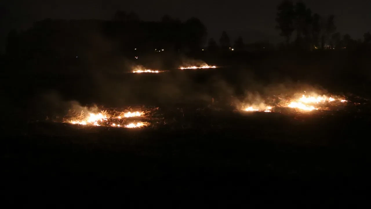 Yasak, ceza dinlemeden tarlaları yaktılar! İşte o anlar 