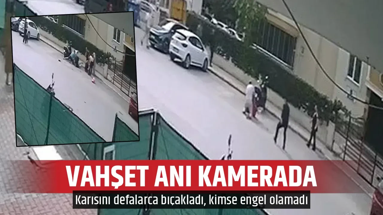 VAHŞET ANI KAMERADA