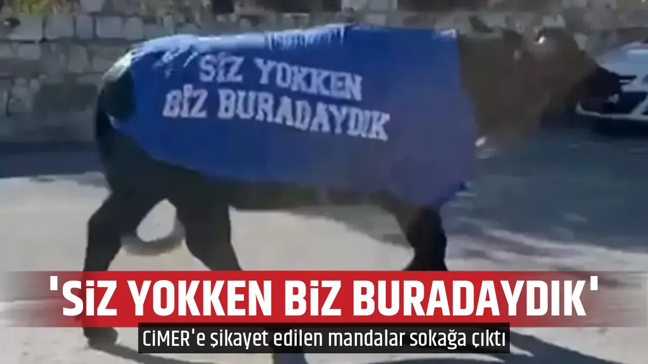 'SİZ YOKKEN BİZ BURADAYDIK'