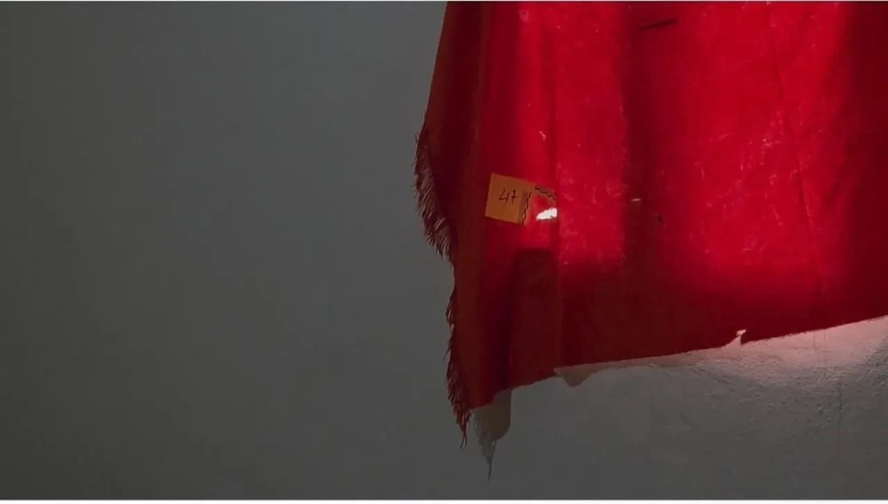 Evde korkunç infaz! Silahlı çatışma çıktı: Geniş çaplı operasyon başlatıldı