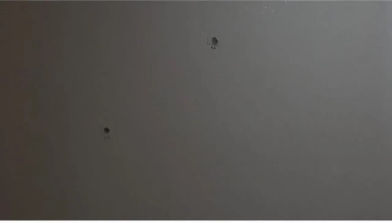 Evde korkunç infaz! Silahlı çatışma çıktı: Geniş çaplı operasyon başlatıldı