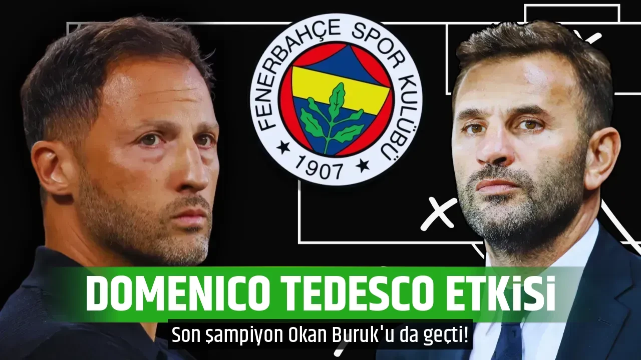 DOMENICO TEDESCO ETKİSİ