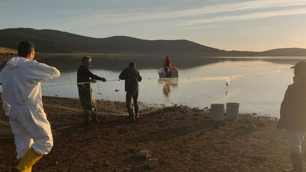Kilometrelerce hayalet ağ tespit edildi! Yüzlerce balık canlı kurtarıldı