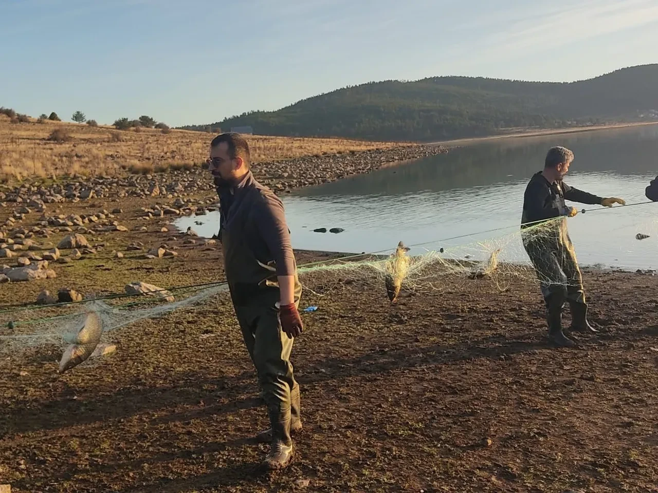 Kilometrelerce hayalet ağ tespit edildi! Yüzlerce balık canlı kurtarıldı