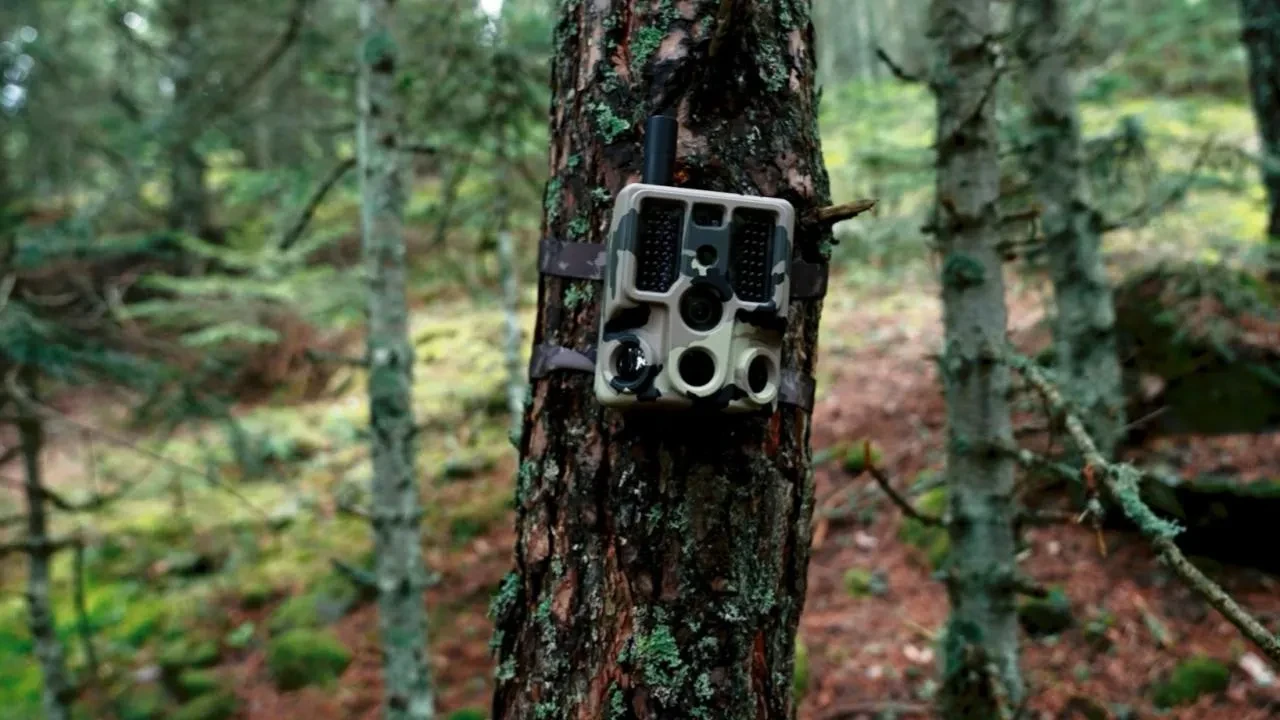 Türkiye'de ortaya çıktı! Bilim insanlarından yeni keşif: Tüm dünyaya tanıtıldı