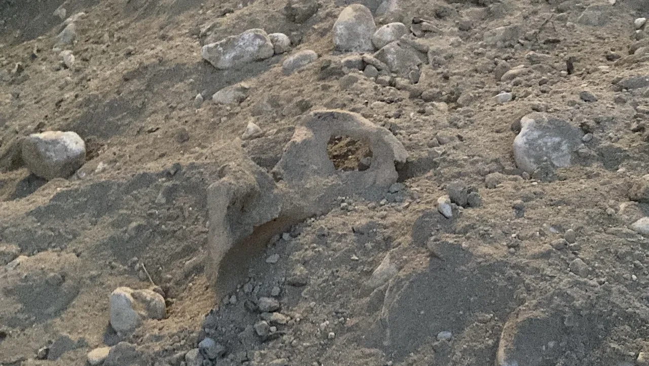 Tüyleri diken diken eden olay! Kazı çalışmalarında gün yüzüne çıktı, ekipler şoke oldu