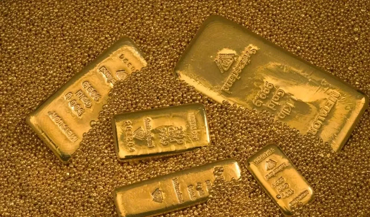 Yüzme havuzu kazısından gerçek bir hazine çıktı! Altınlar ev sahibine kaldı