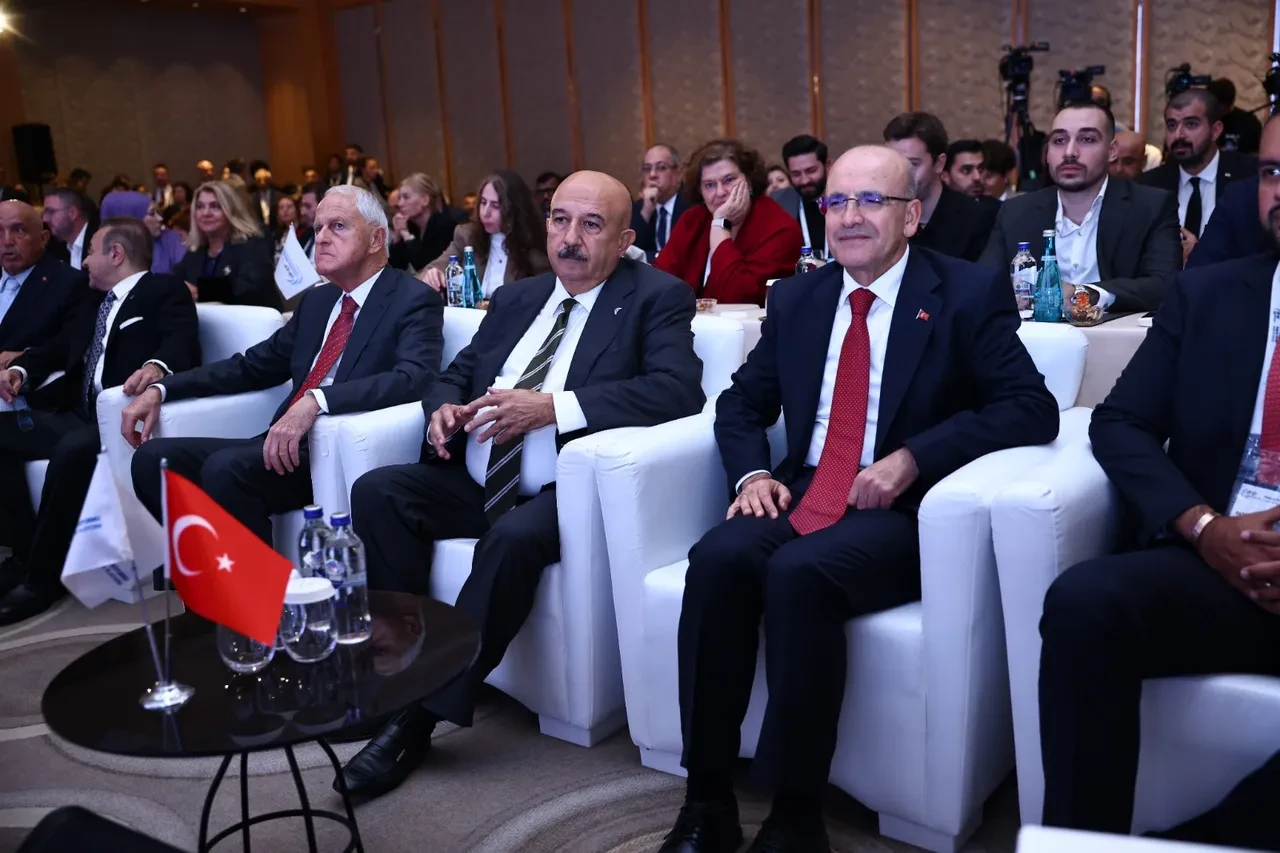 Bakan Mehmet Şimşek: TL konusunda endişelenmeye mahal yok