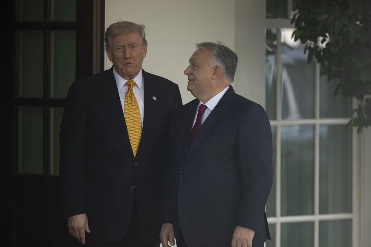 Donald Trump'tan Avrupa'ya mesaj: Yok olacaksınız