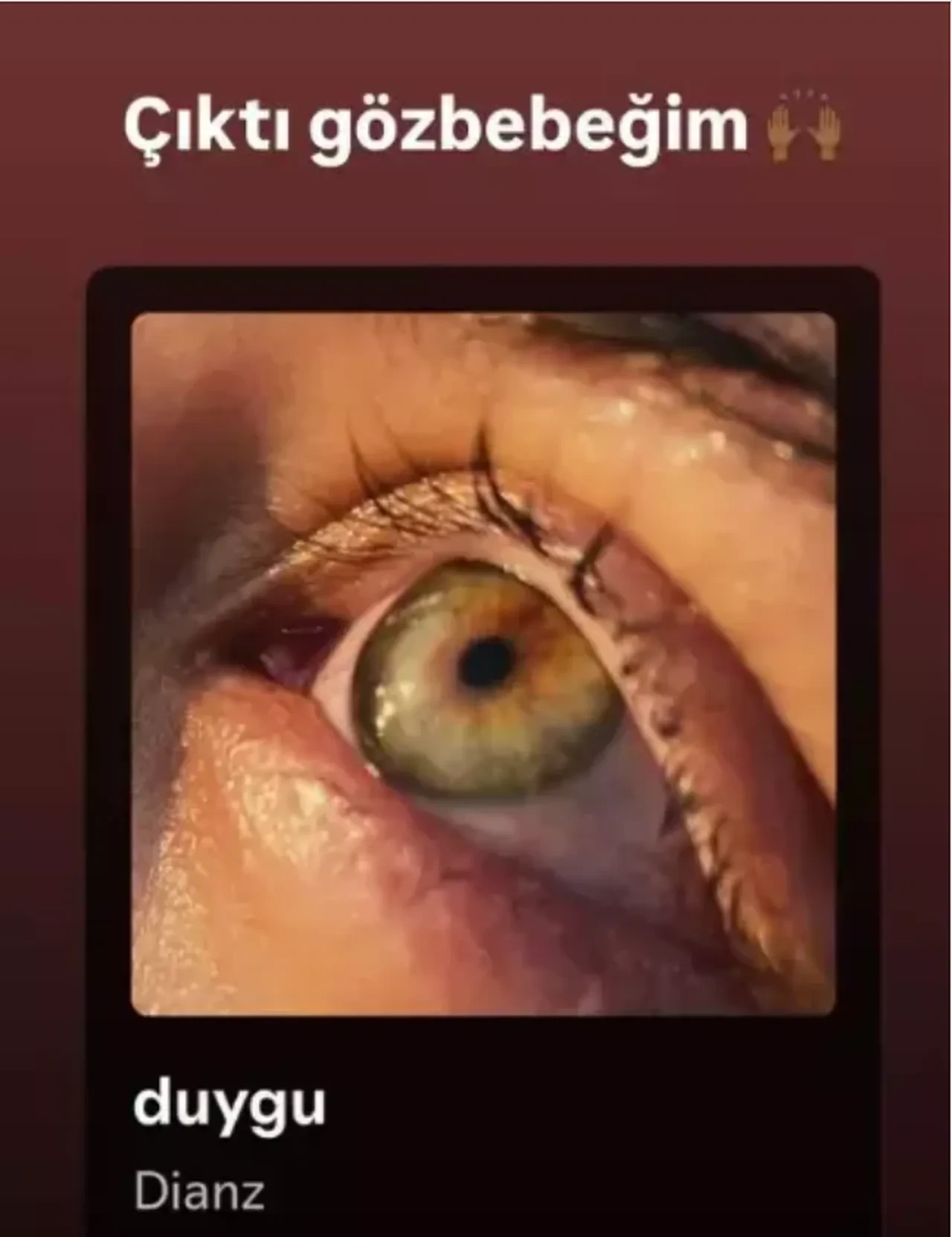 İhanet sebebiyle boşanan Efecan Dianzenza eski eşine şarkı yaptı! Barışmak için her yolu deniyor