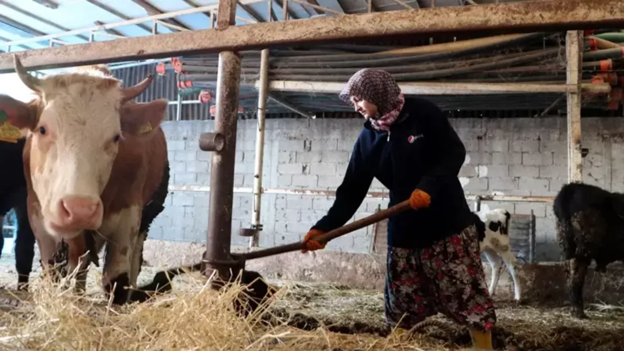 Tarımsal destekleme ödemeleri ne zaman yattı mı?