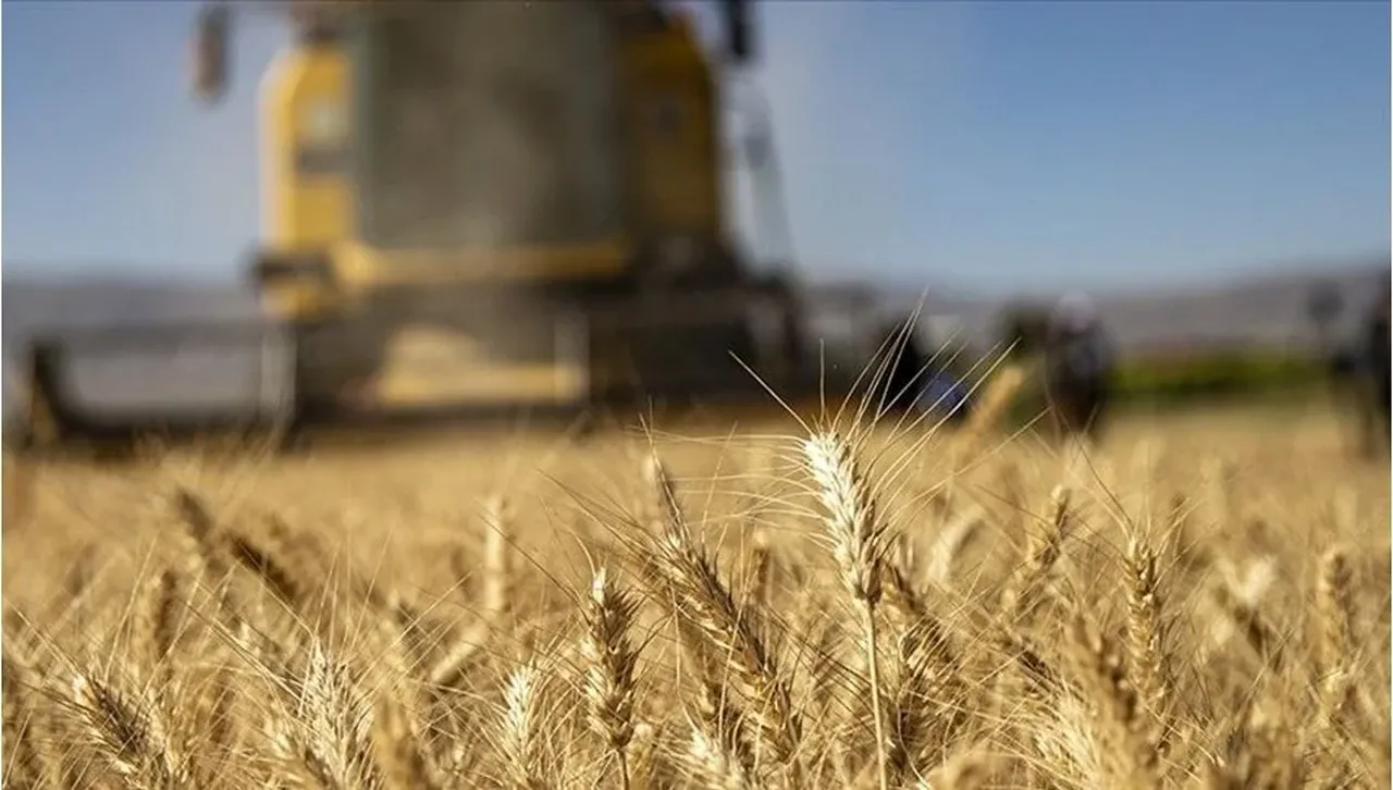 Tarımsal destekleme ödemeleri ne zaman yattı mı?