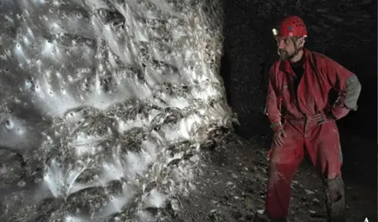 Üzerinde 111 bin canlı yaşıyor! Dünyanın en büyük örümcek ağı bulundu