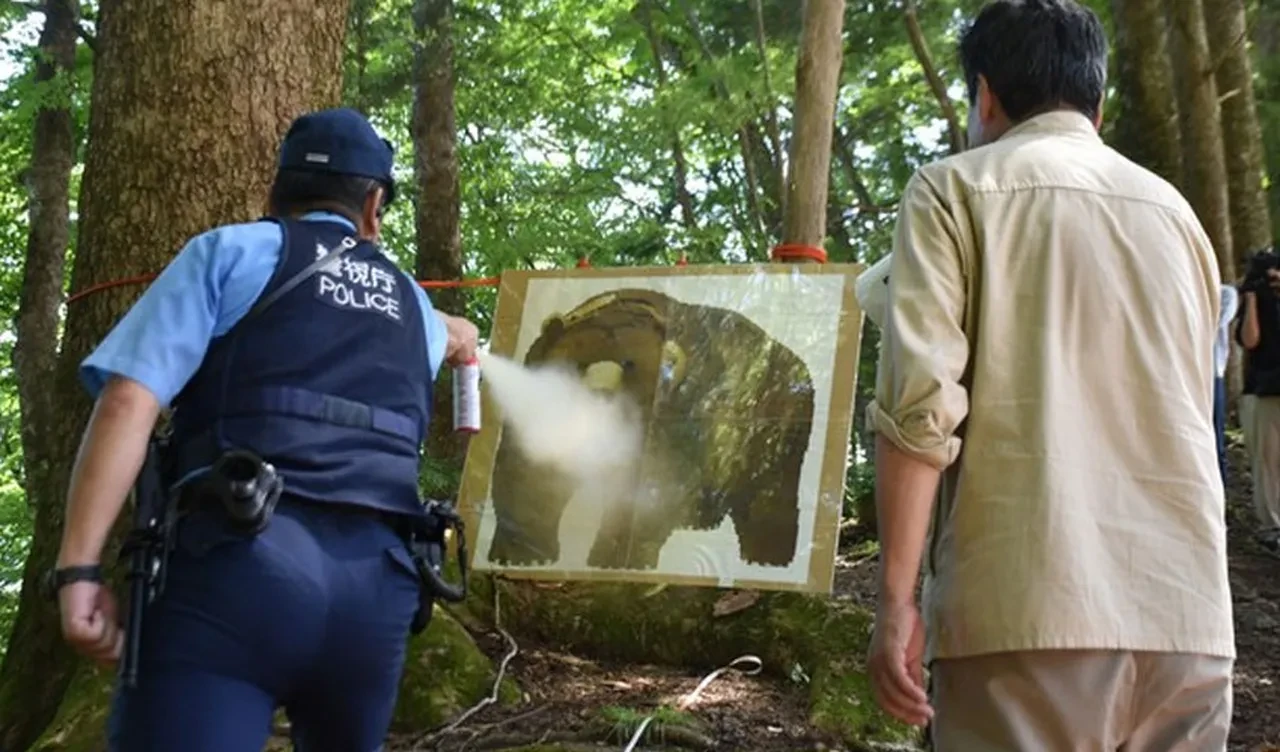 Japonya'da 'ayı operasyonu' başlıyor! Çevik kuvvete tüfek izni çıktı