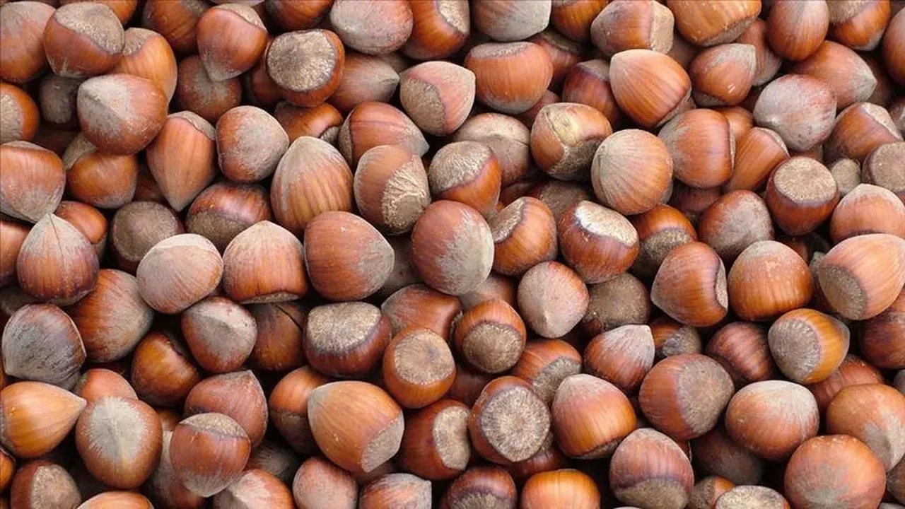 Özgür Özel'den Ferrero'nun fındık manipülasyonuna tepki