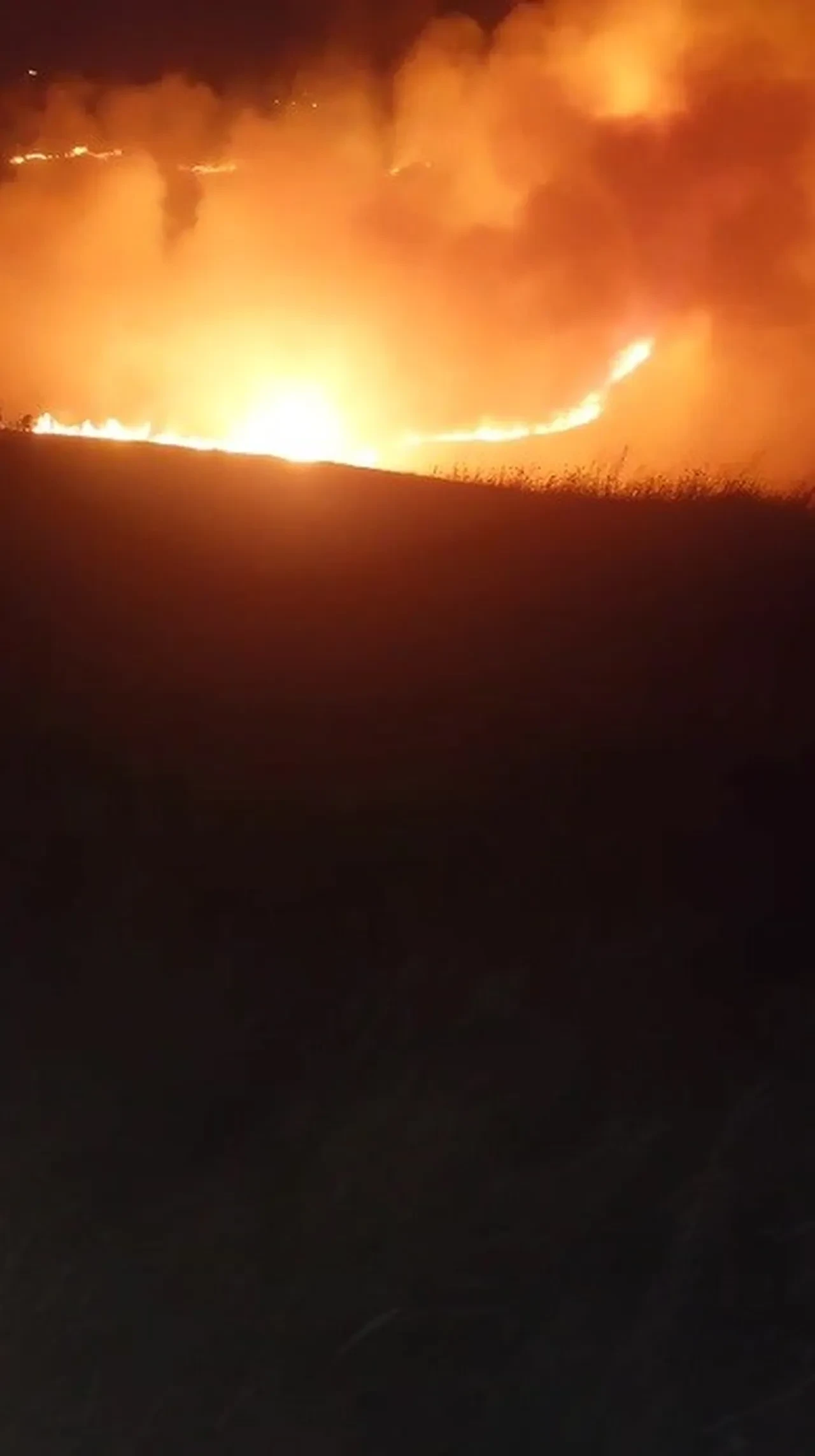 Türkiye Ermenistan sınırında korkutan örtü yangını: Köylüler seferber oldu!