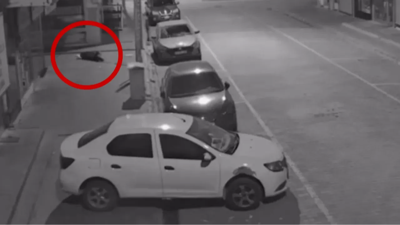 Vahşi cinayetin detayları kan dondurdu! Katiline konum atmış 