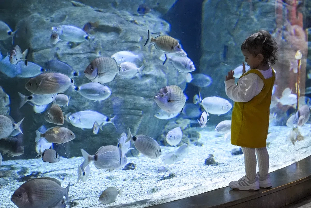 Ara tatil başladı, aileler çocuklarını eğlendirmek için dışarı akın etti