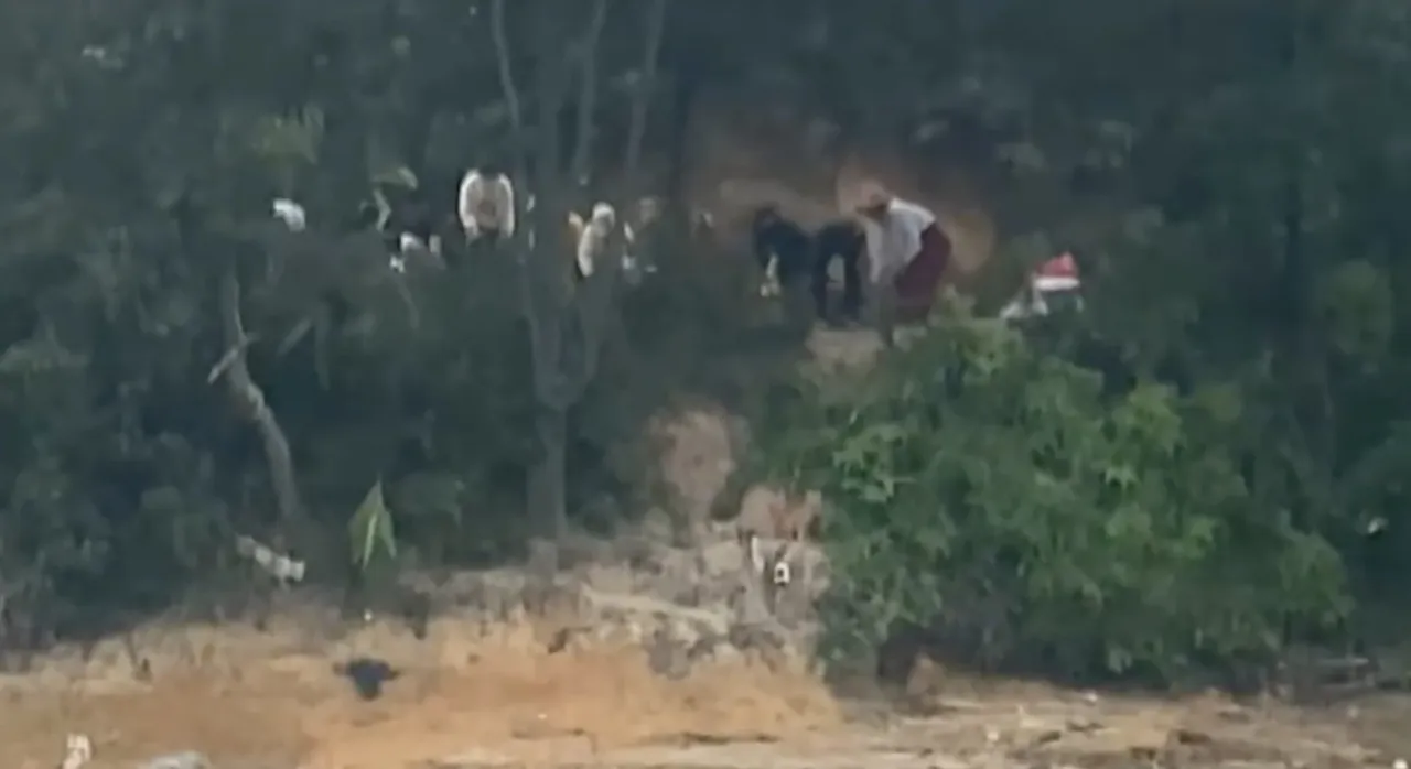 Bu ritüel değil işkence! Bin kediyi kafese koyup suya bıraktılar, katliam yaptılar