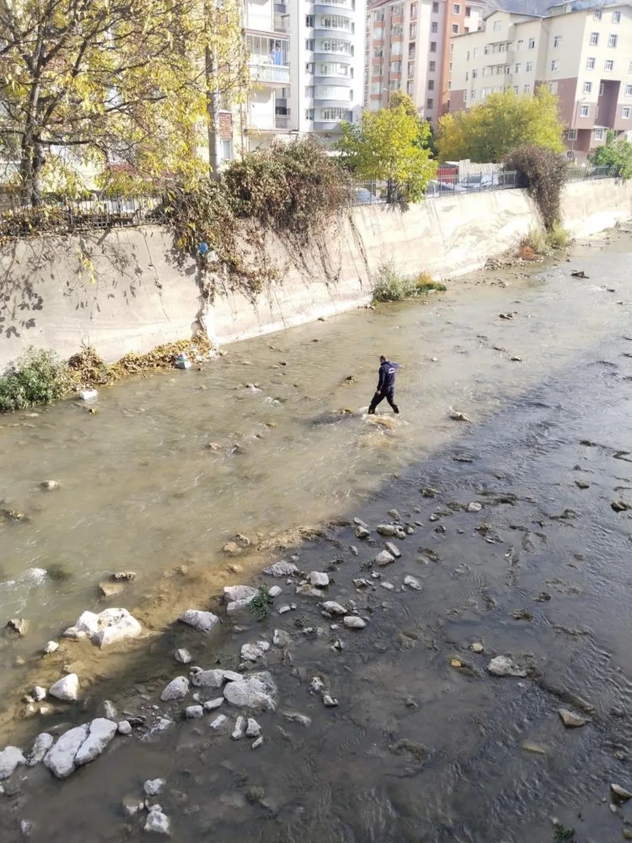 Harşit Çayı'na düşen tavuğu itfaiye ekipleri kurtardı