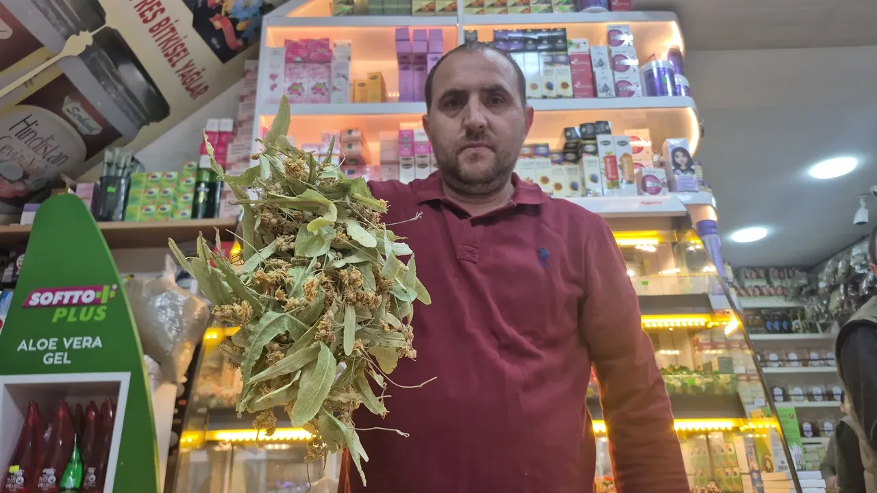 Kilosu altınla yarışıyordu! Bu sene fiyatlar yarı yarıya düştü