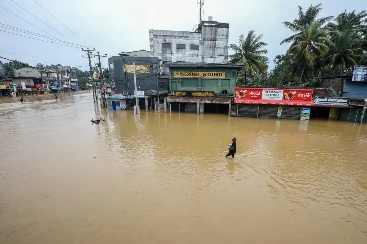 Ağaçlara sarılıp kurtarılmayı beklediler! 3 ülke felaketi yaşıyor: Yüzlerce kişi öldü