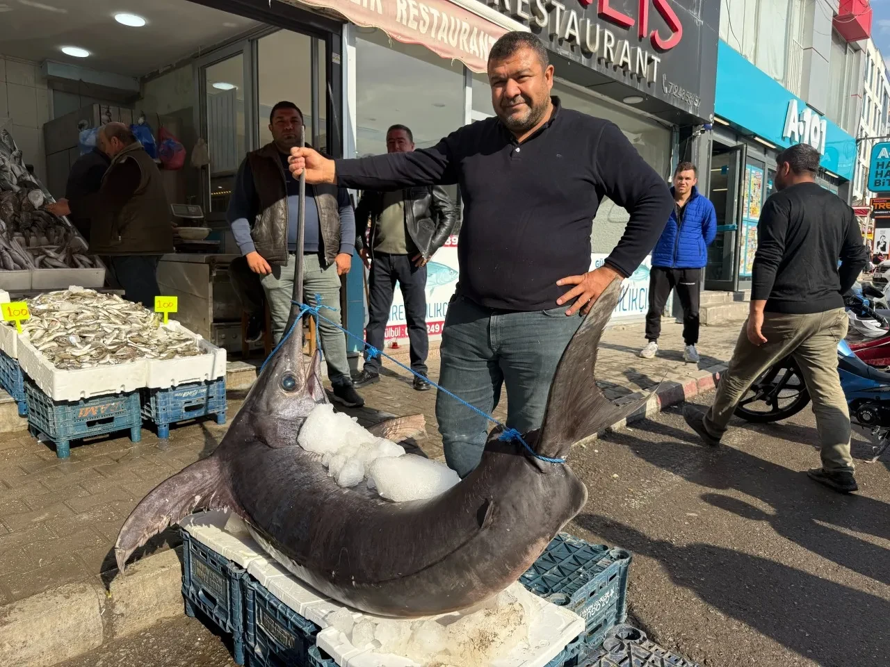 'Akdeniz sularının en büyük balığı' esnaf tezgahında! Tam 138 kilo geldi