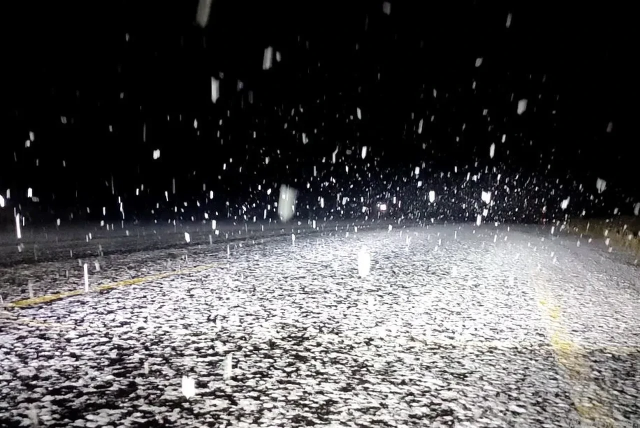 Ardahan'da kar yağışı! Yollar beyaza büründü