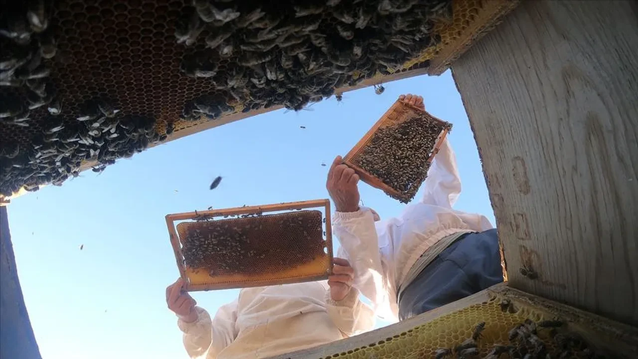 Bakanlık 3 markayı ifşa etti! Taklit ve tağşiş listesine bal girdi