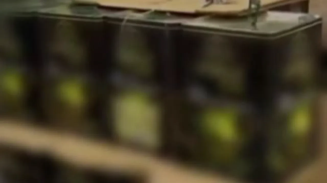 Binlerce litre kaçak yağ ele geçirildi! Kayıtsız üretim kamerada